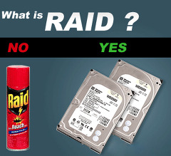 Raid_-pp.jpg